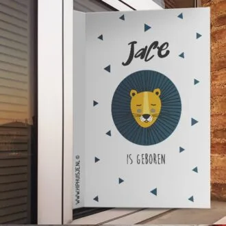 geboortebord leeuw in blauw raam sfeer leeuw hiphuisje