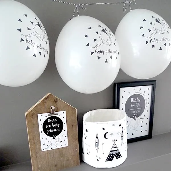 afeerfoto geboorteballonnen ooievaar hip huisje