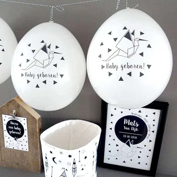 geboorteballonnen ooievaar hip huisje