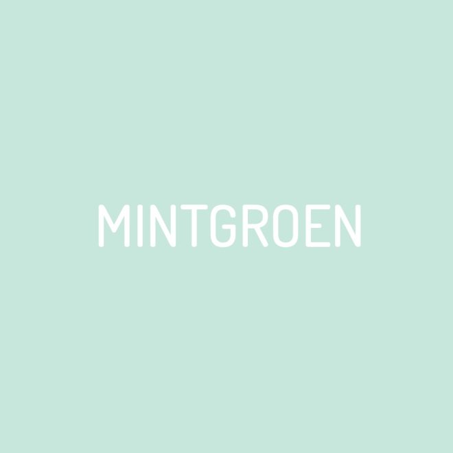 EFFEN BEHANG MINTGROEN