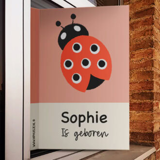 geboortebord lieveheersbeestje in roze meisje geboren hiphuisje