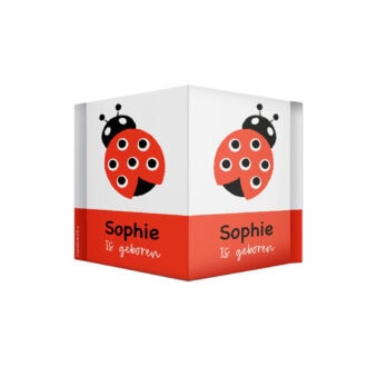 geboortebord lieveheersbeestje rood geboorte versiering hiphuisje