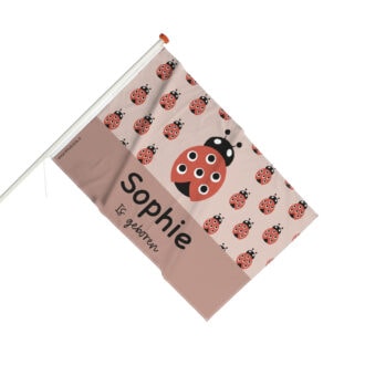 geboortevlag met lieveheersbeestjes in roze meisje geboren hiphuisje