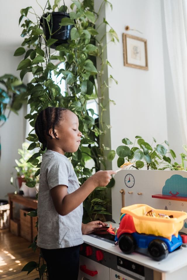Zo kies je groen dat past bij de kinderkamer 1 kinderkamer planten