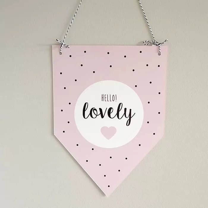 achterzijde vaantje meisje baby geboren babykamer versiering roze hip huisje