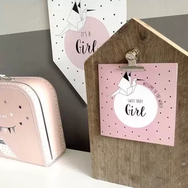 geboortekaartje kraamcadeau roze meisje koffertje kraammand hiphuisje