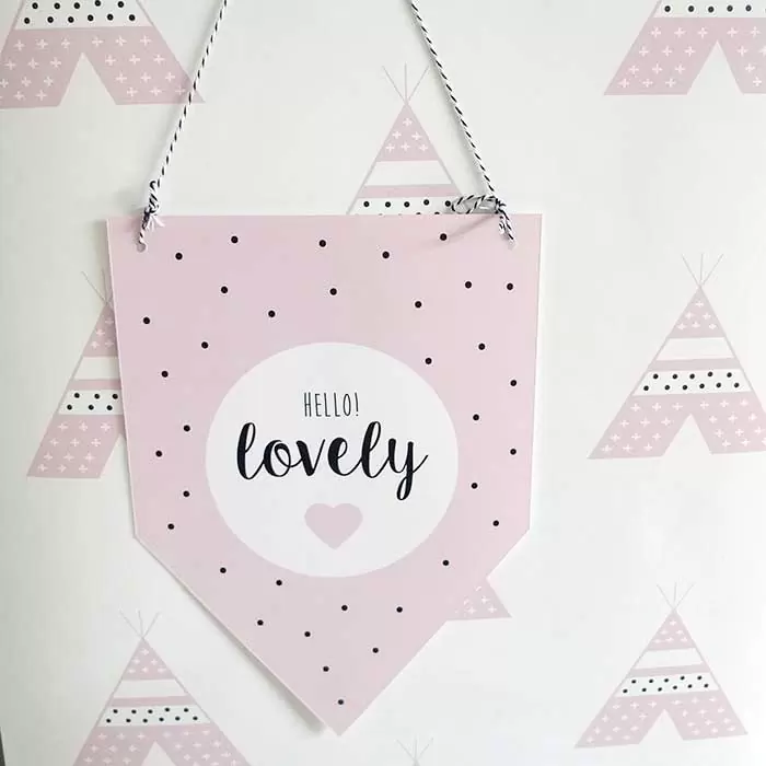 vaantje decoratie kinderkamer babykamer babygeboren kraamcadeau meisje meisjeskamer hiphuisjekopie