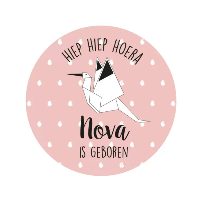 traktatie geboorte meisje ooievaar cupcakes hiphuisje