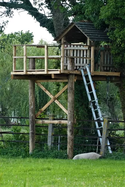 boomhut hout